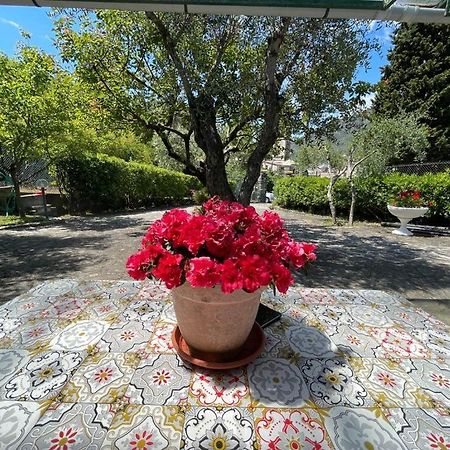 Rosy Apartment - Levanto, 5 Terre المظهر الخارجي الصورة