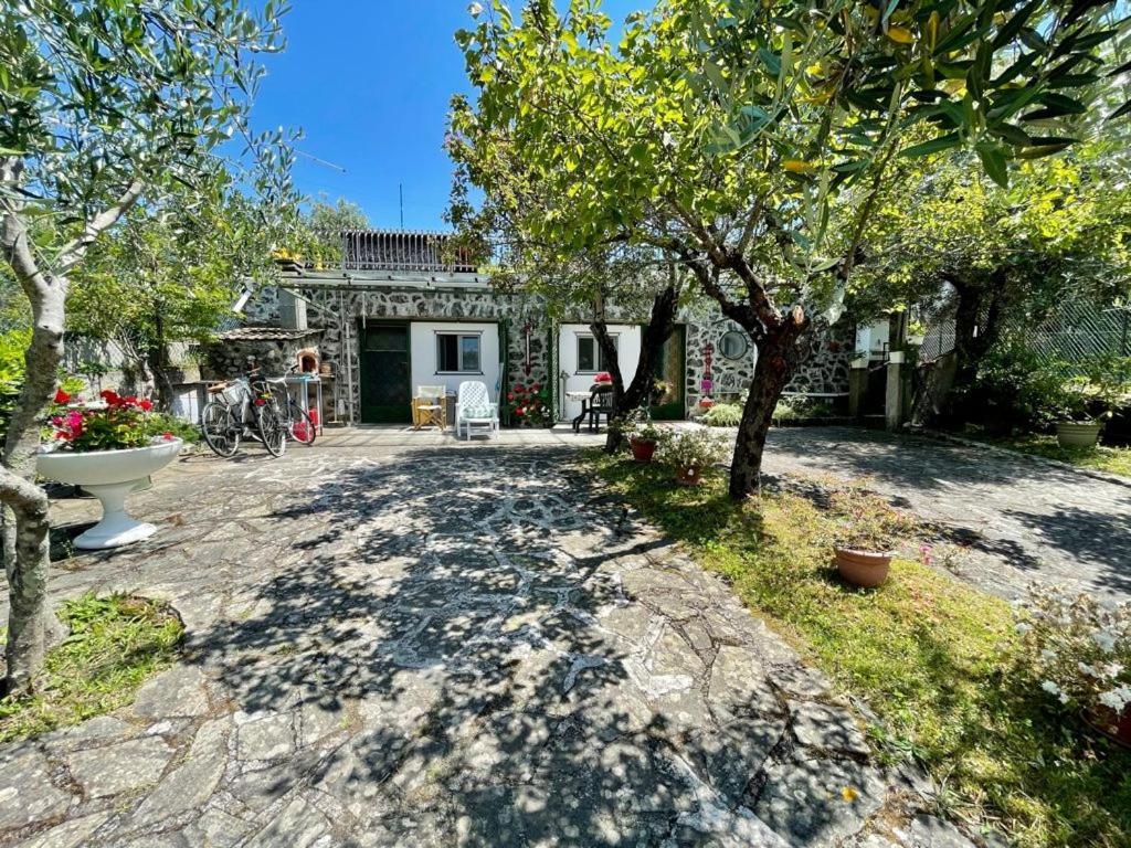 Rosy Apartment - Levanto, 5 Terre المظهر الخارجي الصورة