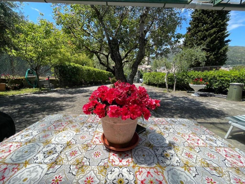 Rosy Apartment - Levanto, 5 Terre المظهر الخارجي الصورة