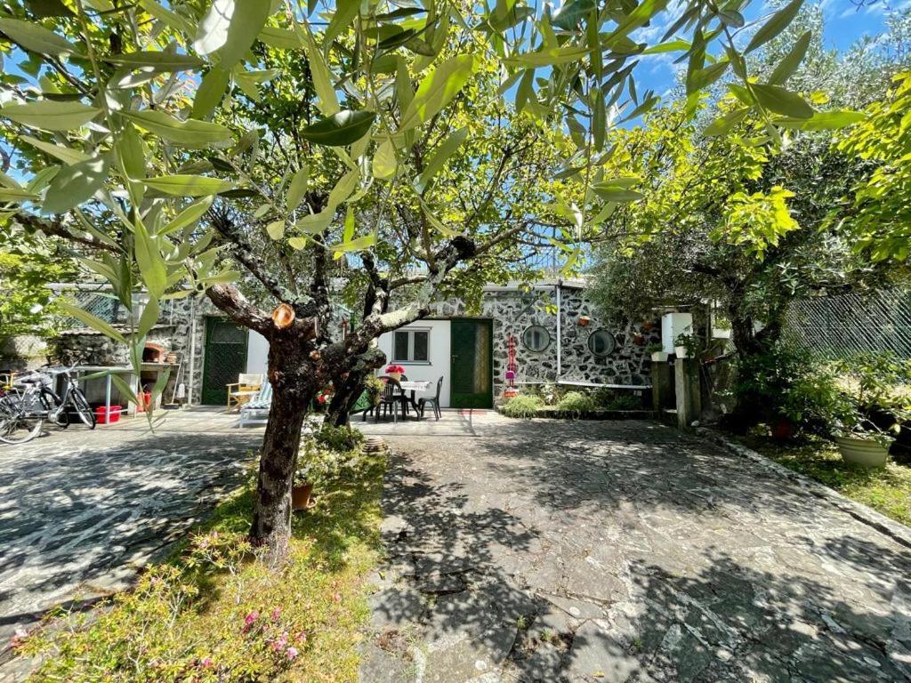 Rosy Apartment - Levanto, 5 Terre المظهر الخارجي الصورة