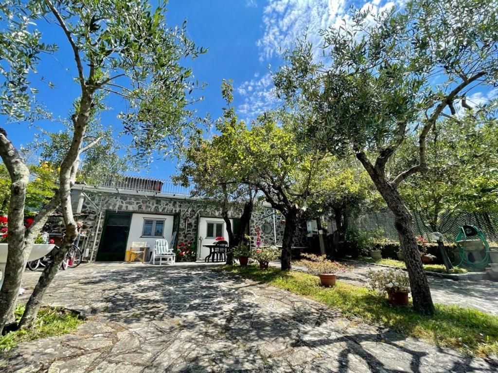 Rosy Apartment - Levanto, 5 Terre المظهر الخارجي الصورة